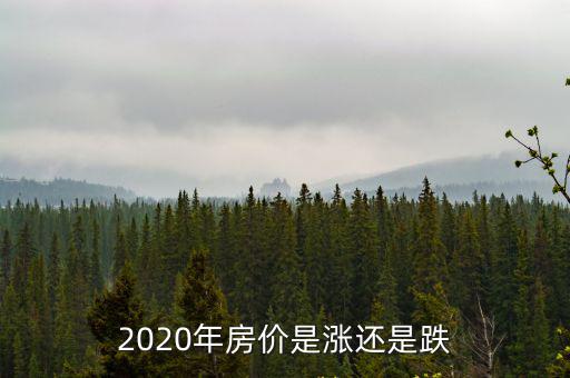 房價2020走勢如何看，依照現在趨勢2020年房價是漲還是跌呢