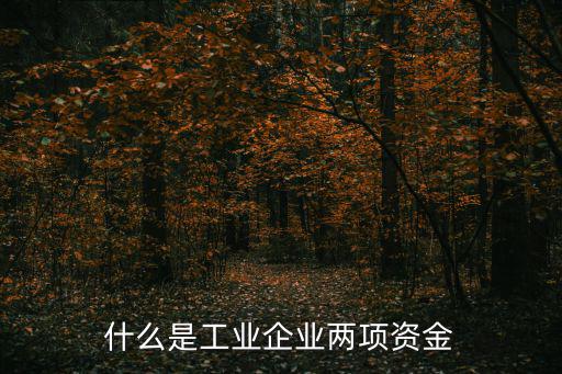 什么是工業企業兩項資金