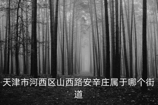 天津市河西區山西路安辛莊屬于哪個街道