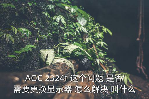 AOC 2324f 這個(gè)問(wèn)題 是否需要更換顯示器 怎么解決 叫什么