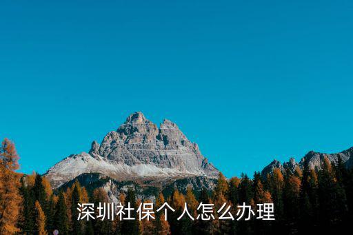 深圳社保個人怎么辦理