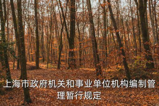 上海市政府機關和事業單位機構編制管理暫行規定