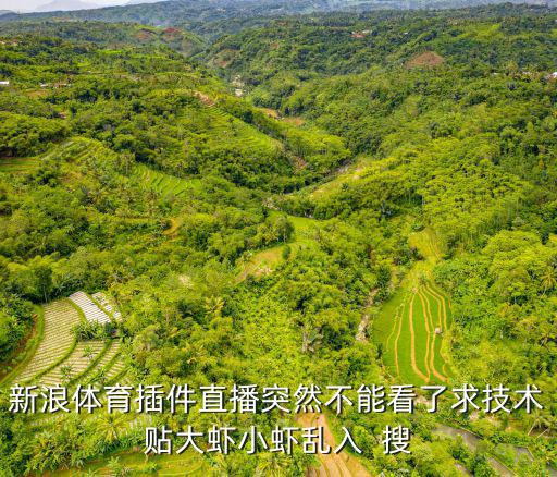 新浪體育插件直播突然不能看了求技術(shù)貼大蝦小蝦亂入  搜