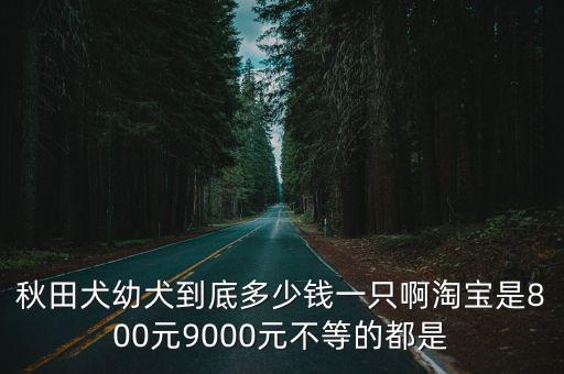 秋邊犬幼犬多少錢，在日本秋天犬賣多少錢相當于人民幣的多少