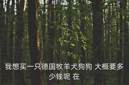 我想買一只德國牧羊犬狗狗 大概要多少錢呢 在