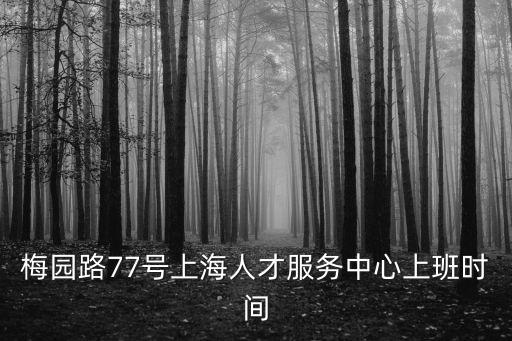 梅園路77號上海人才服務中心上班時間