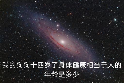 我的狗狗十四歲了身體健康相當于人的年齡是多少