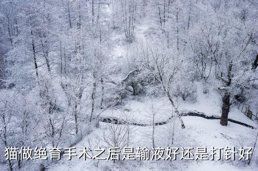 貓絕育手術(shù)后輸液多少錢(qián)，母貓絕育后需要掛水么