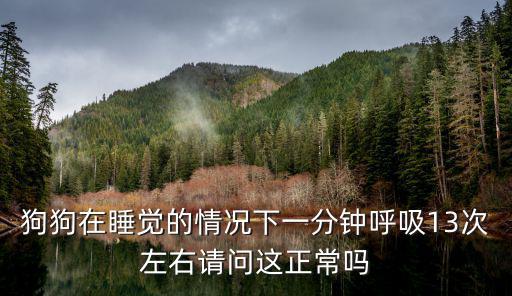 狗睡著的呼吸多少次，狗狗在睡覺的情況下一分鐘呼吸13次左右請問這正常嗎