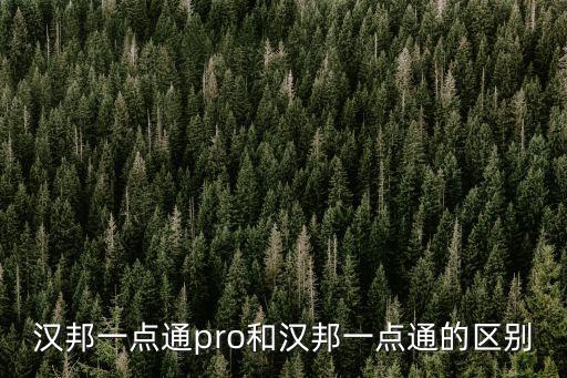 漢邦一點通pro和漢邦一點通的區別