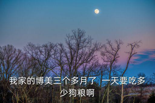 三個月大小狗吃多少狗糧，三個月的狗狗一餐喂多少狗糧