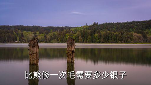 比熊修一次毛需要多少銀子
