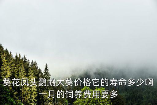 葵花鳳頭鸚鵡大葵價(jià)格它的壽命多少啊一月的飼養(yǎng)費(fèi)用要多