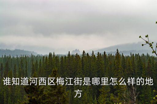 誰知道河西區梅江街是哪里怎么樣的地方
