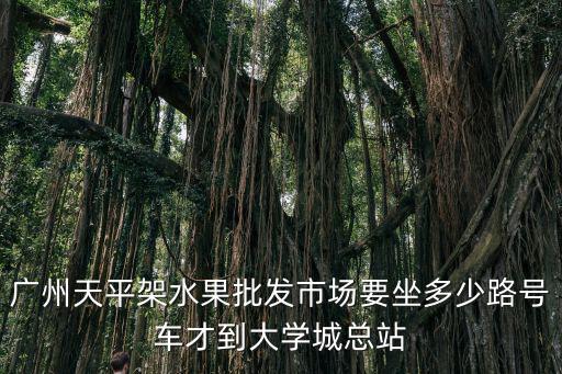 廣州天平架水果批發(fā)市場要坐多少路號車才到大學(xué)城總站