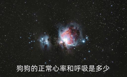 狗狗的正常心率和呼吸是多少