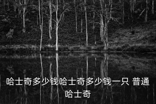 哈士奇多少錢哈士奇多少錢一只 普通哈士奇