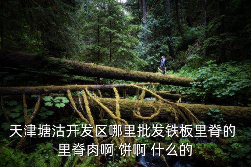 天津塘沽開發(fā)區(qū)哪里批發(fā)鐵板里脊的 里脊肉啊 餅啊 什么的