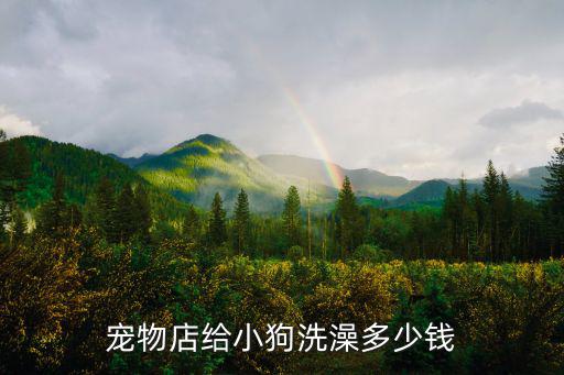 寵物店給小狗洗澡多少錢