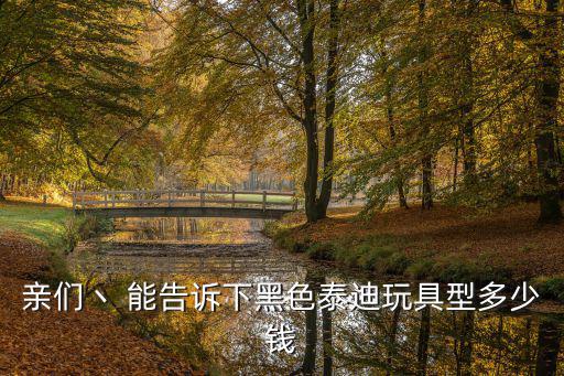 親們丶 能告訴下黑色泰迪玩具型多少錢
