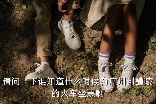 請問一下誰知道什么時候有廣州到醴陵的火車坐票啊