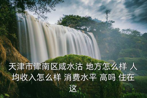 天津市津南區(qū)咸水沽 地方怎么樣 人均收入怎么樣 消費水平 高嗎 住在這
