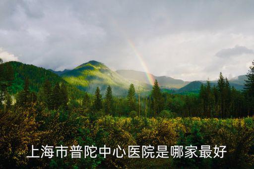 上海市普陀中心醫院是哪家最好