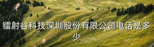 深圳市石巖坑尾股份合作公司，固戍股份有限公司多少股份