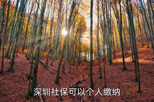 深圳市個人繳納社保繳費(fèi)，深圳社保可以個人繳納