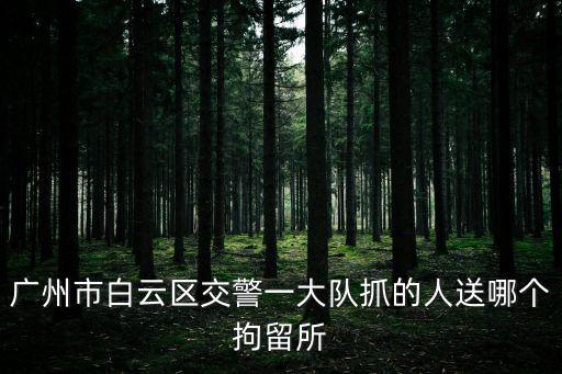 廣州市白云區交警一大隊抓的人送哪個拘留所