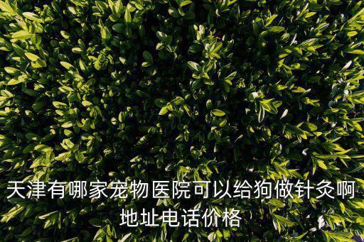 天津有哪家寵物醫院可以給狗做針灸啊地址電話價格