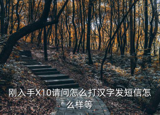 中控智慧x10怎么打中文，剛入手X10請問怎么打漢字發短信怎么樣等