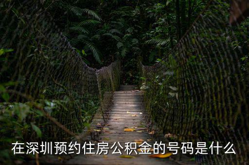 在深圳預(yù)約住房公積金的號(hào)碼是什么