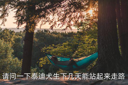 請問一下泰迪犬生下幾天能站起來走路