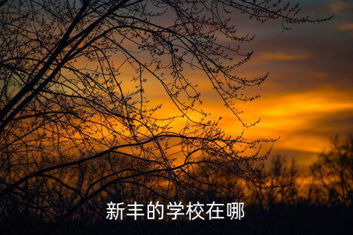 深圳新豐小學新校區，新豐的學校在哪