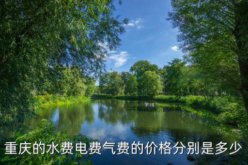 重慶市 二次供水 價(jià)格，重慶的水費(fèi)電費(fèi)氣費(fèi)的價(jià)格分別是多少