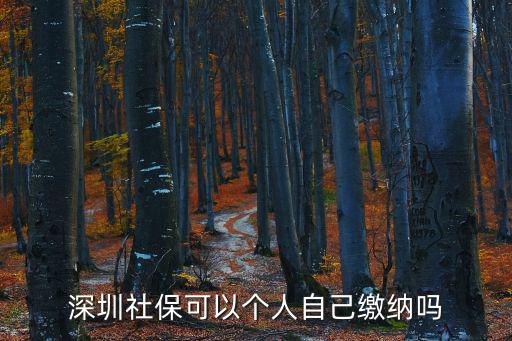 深圳社保可以個人自己繳納嗎