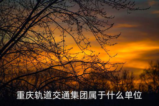 重慶軌道交通集團屬于什么單位