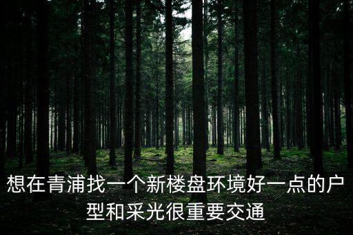 想在青浦找一個新樓盤環境好一點的戶型和采光很重要交通