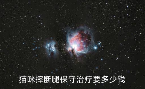 貓咪摔斷腿保守治療要多少錢