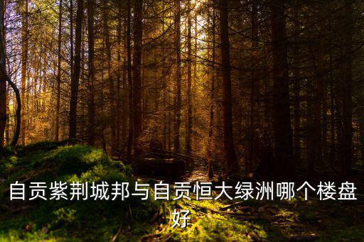 自貢紫荊城邦與自貢恒大綠洲哪個樓盤好