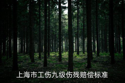 九級傷殘上海市賠償標準，上海市九級工傷賠償標準