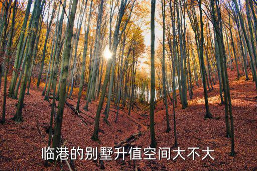 臨港的別墅升值空間大不大