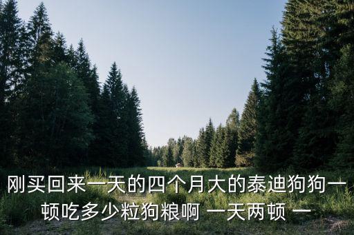 剛買回來一天的四個月大的泰迪狗狗一頓吃多少粒狗糧啊 一天兩頓 一