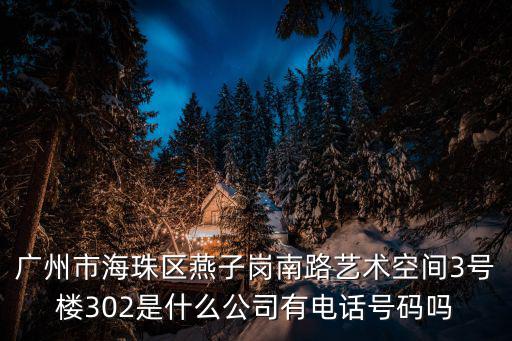 廣州市海珠區(qū)燕子崗南路藝術(shù)空間3號樓302是什么公司有電話號碼嗎