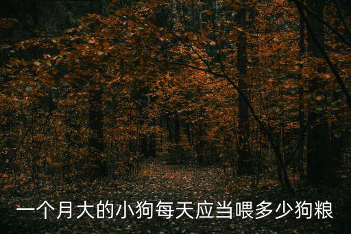 一個月大的小狗每天應當喂多少狗糧