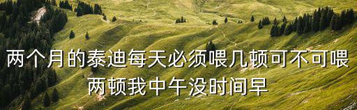 兩個月的泰迪每天必須喂幾頓可不可喂兩頓我中午沒時間早