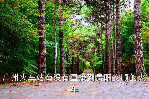 廣州到貴陽安順高鐵站，從廣州坐火車去安順在哪個站坐車