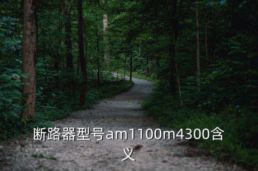 斷路器型號am1100m4300含義