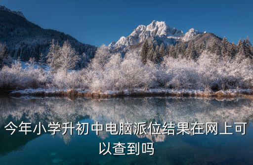 今年小學(xué)升初中電腦派位結(jié)果在網(wǎng)上可以查到嗎
